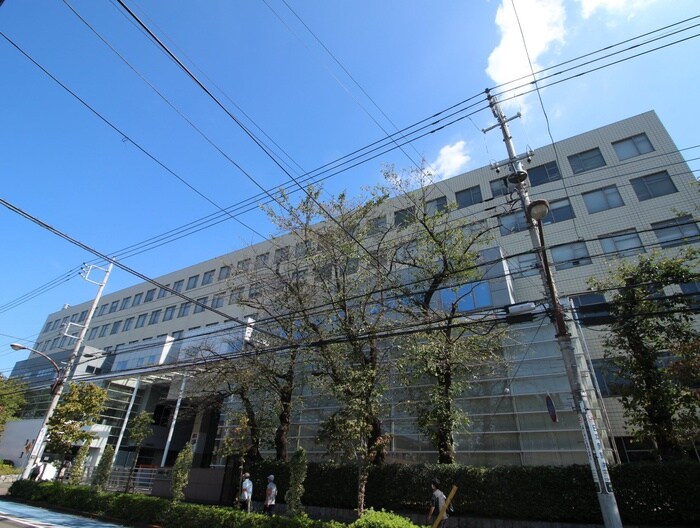 法政大学(大学/短大/専門学校)まで450m モンシャト－宮崎