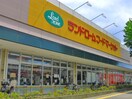 ランドローム都賀店(スーパー)まで1400m サントップタウンズ　５