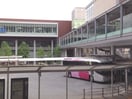 たまプラーザテラスサウスプラザ(ショッピングセンター/アウトレットモール)まで443m グレ－スオ－ク