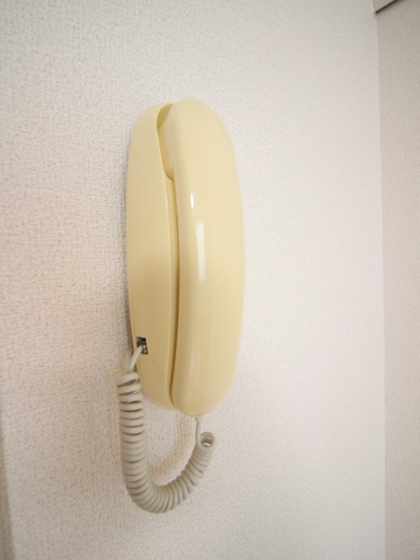 内観写真 マルベリー