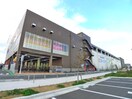 コーナン(電気量販店/ホームセンター)まで550m オアシスＤ棟