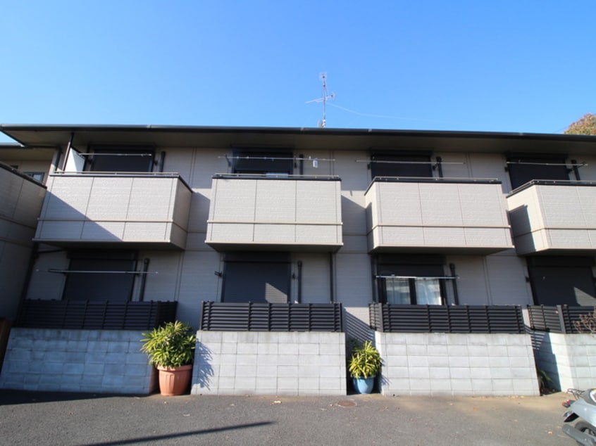 その他 オリ－ブ