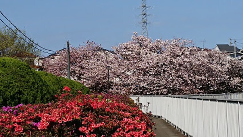 西東京市向台運動場(公園)まで650m カーサ　グランデ