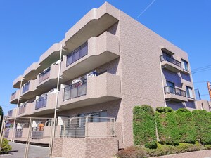 ラコンコルダンシア