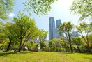 新宿中央公園(公園)まで708m ASTILE西新宿Ⅱ