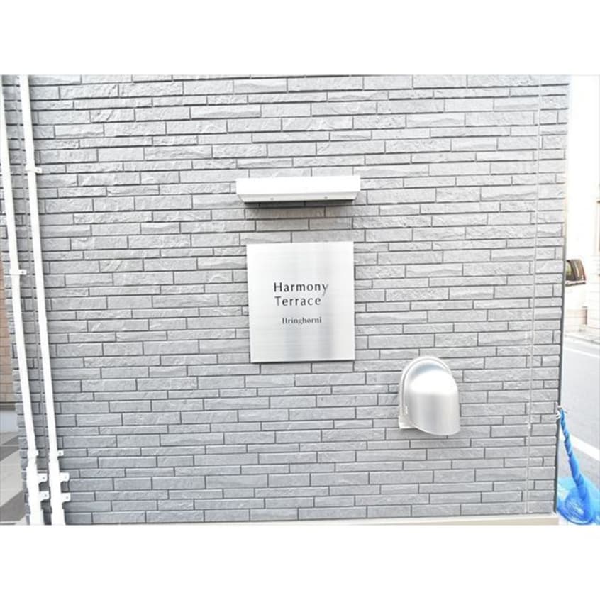 その他 フリングホルニ