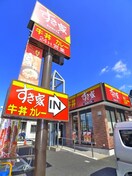 すき家(ファストフード)まで328m グランクオール柴又
