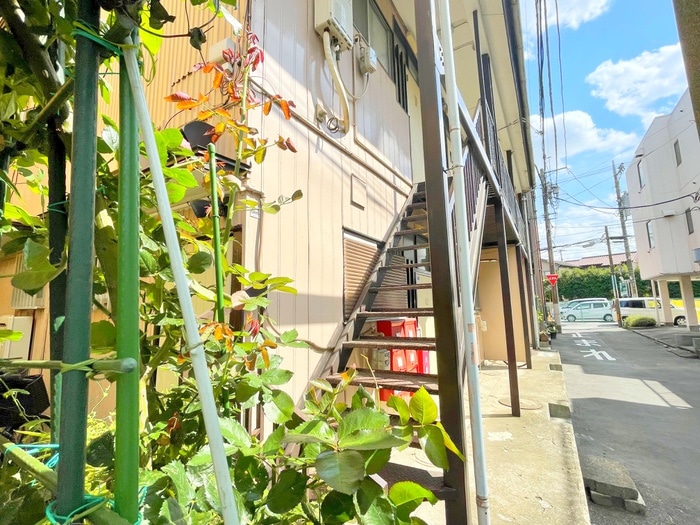 エントランス部分 ライフ２５