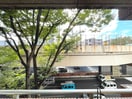 室内からの展望 アプレシティ桜上水