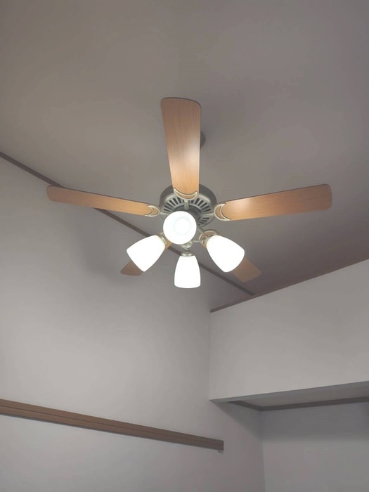 内観写真 ハウスルピナス