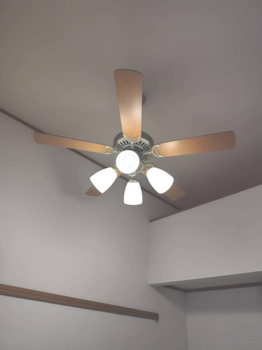 内観写真 ハウスルピナス