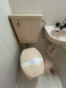 トイレ キューブ浜田山