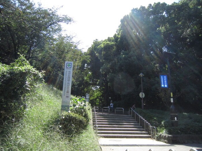 光が丘公園(公園)まで932m ラシーネ赤塚
