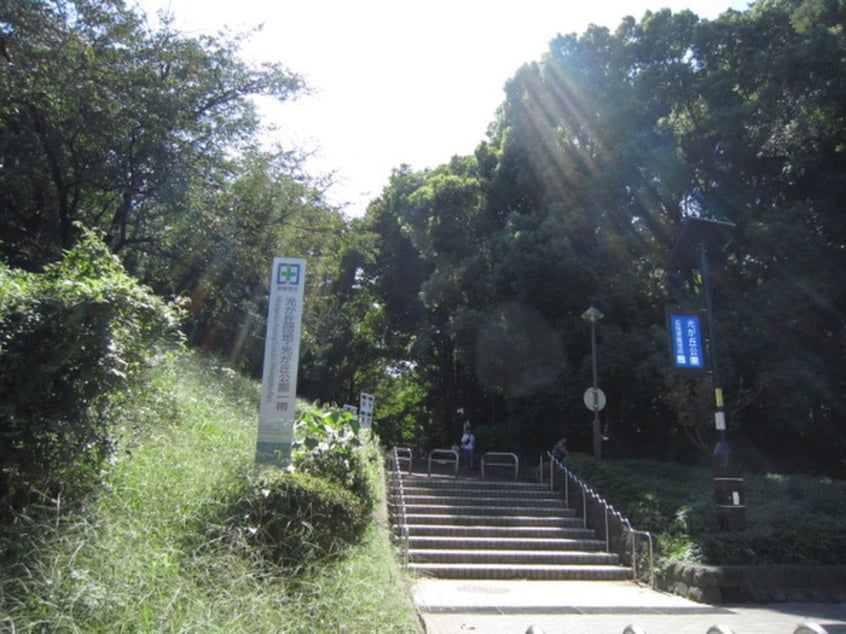 光が丘公園(公園)まで932m ラシーネ赤塚