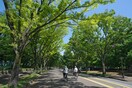 駒沢オリンピック公園(公園)まで1900m ウェルスクエアイズム都立大学