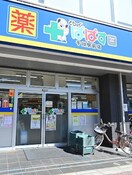 どらっぐぱぱす 千川駅前店(ドラッグストア)まで326m ハイツひいらぎ