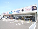 ウェルシア富士見鶴馬店(ドラッグストア)まで140m キャメルみずほ台ノア