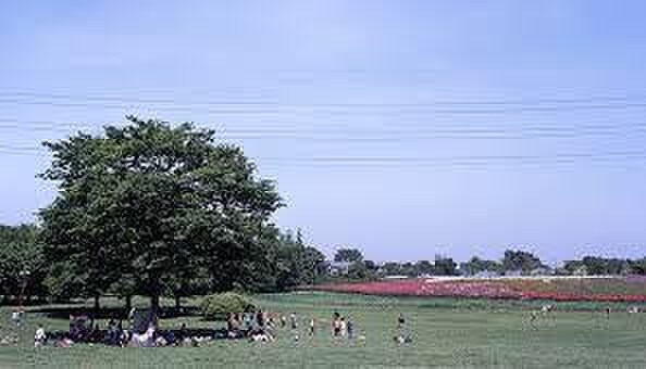 小金井公園(公園)まで500m メゾン　ド　パ－ル