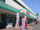 マルエツ(スーパー)まで880m サンライズ・Ｍ