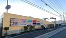 CAINZ(カインズ) フォルテ秦野店(電気量販店/ホームセンター)まで629m アリエッタ