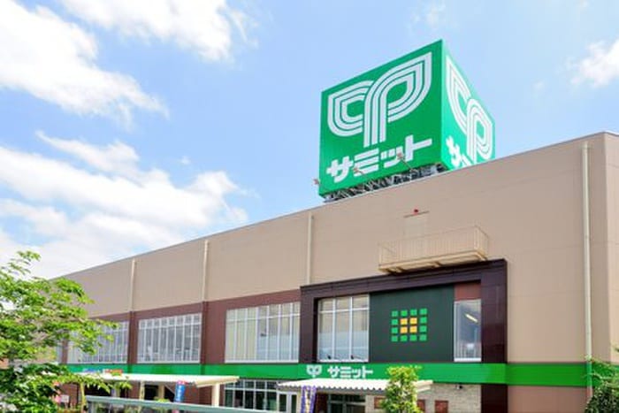 サミットストア　環八南田中店(スーパー)まで292m ＰＡＣＩＦＩＣ