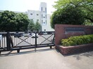 藤小学校(小学校)まで850m メゾネット若葉