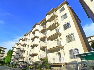 西船橋ｸﾞﾘ-ﾝﾊｲﾂ７号棟(503)
