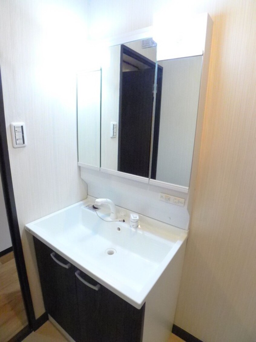 洗面 フラワーヒル豊四季（１０３）