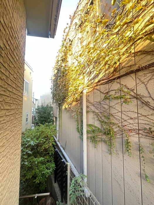室内からの展望 シーズン弦巻
