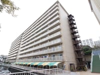 三ツ沢ハイタウン1号棟(1103)