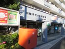 千代ヶ丘郵便局(郵便局)まで260m ロ－ゼンハイツ