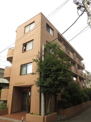 セザール綾瀬(203)