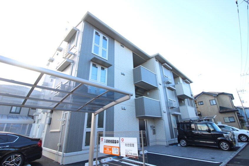 外観写真 オリーブ