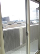 室内からの展望 オリーブ