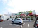三和(スーパー)まで255m オリーブ