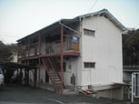 佐伯文化