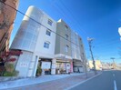 セネシオの外観