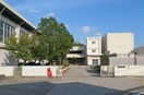 播磨町立播磨中学校(中学校/中等教育学校)まで1370m デイジ－ハイツ