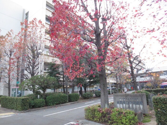 西宮市立中央病院(病院)まで450m ＷＡＧＡＹＡ門戸厄神