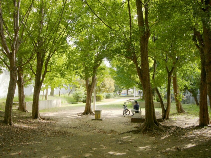 止々呂渕公園(公園)まで869m 桜荘マンション