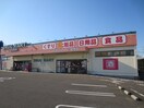 セガミドラッグ(ドラッグストア)まで1390m 山崎テラスハウス