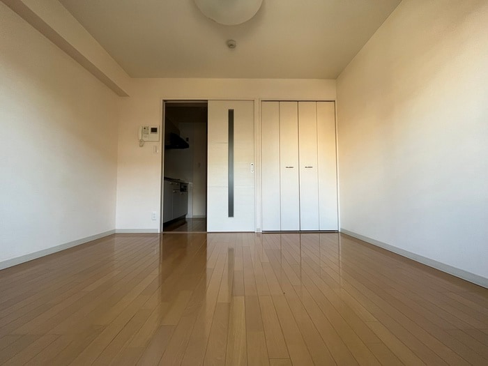 居室 セラフィック・ＩＷＴ