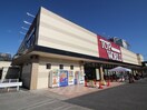 トップワールド(スーパー)まで601m 寝屋川市美井元町１０号地