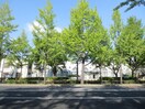 テニスコート(公園)まで120m 匠空ＫＹＯＭＡＣＨＩＢＯＲＩ
