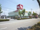 スギ薬局 西宮中前田店(ドラッグストア)まで350m サンステラ