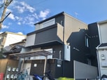 グロー桂