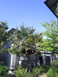 リバ－ランド・ジョイＤ