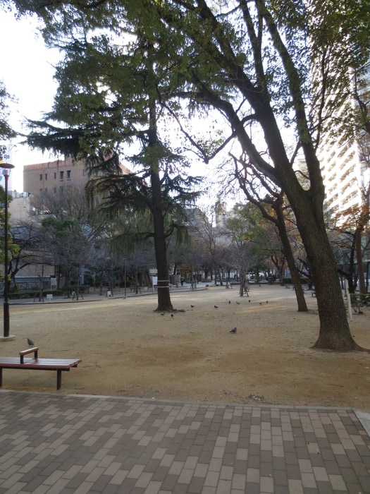 新町北公園(公園)まで230m リーガル四ツ橋立売堀Ⅱ