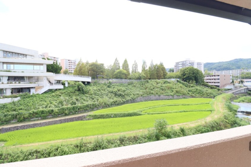 室内からの展望 グランディ－ル小林Ⅱ