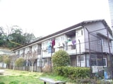 額田文化